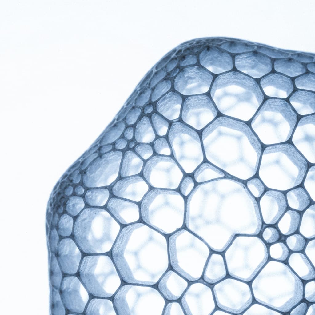 Пародонтология